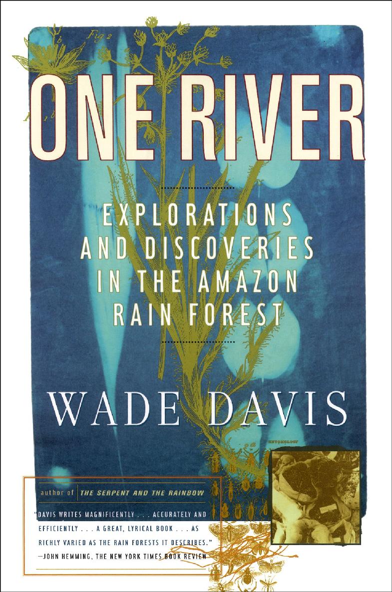 One River Wade Davis