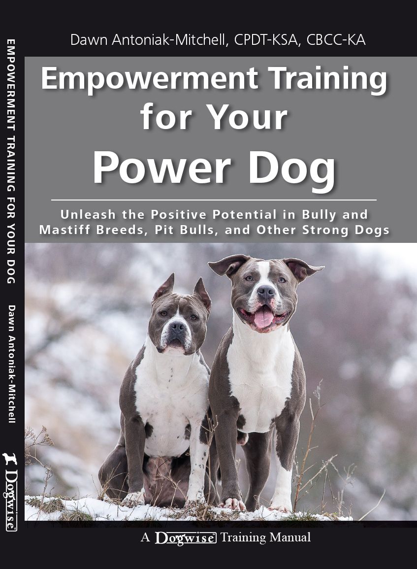 Empowerment Training For Your Power Dog Dawn Antoniakmitchell
