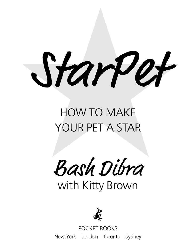 Starpet Bash Dibra Kitty Brown Jaime Putorti