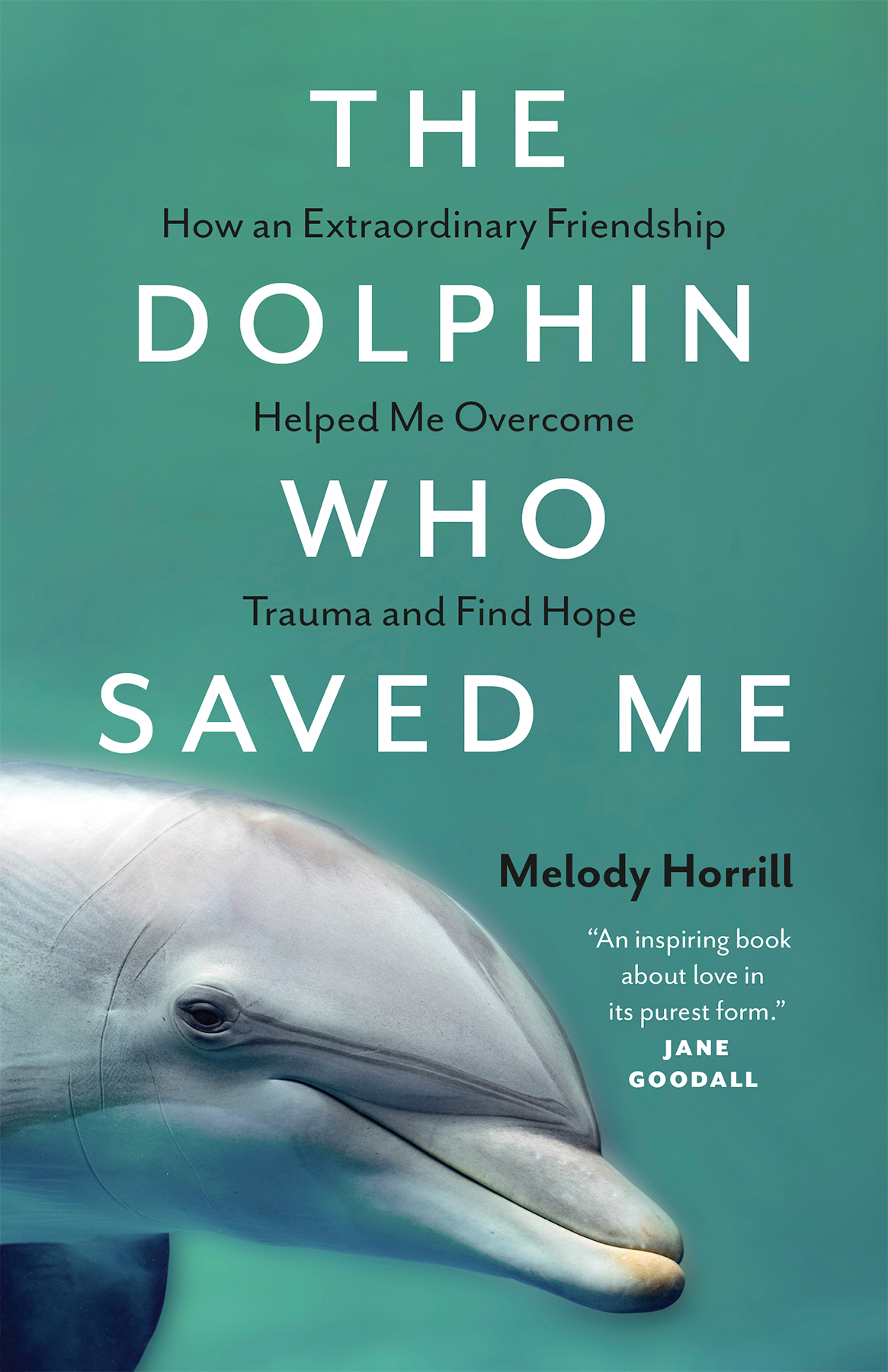 The Dolphin Who Saved Me Horrill Melody