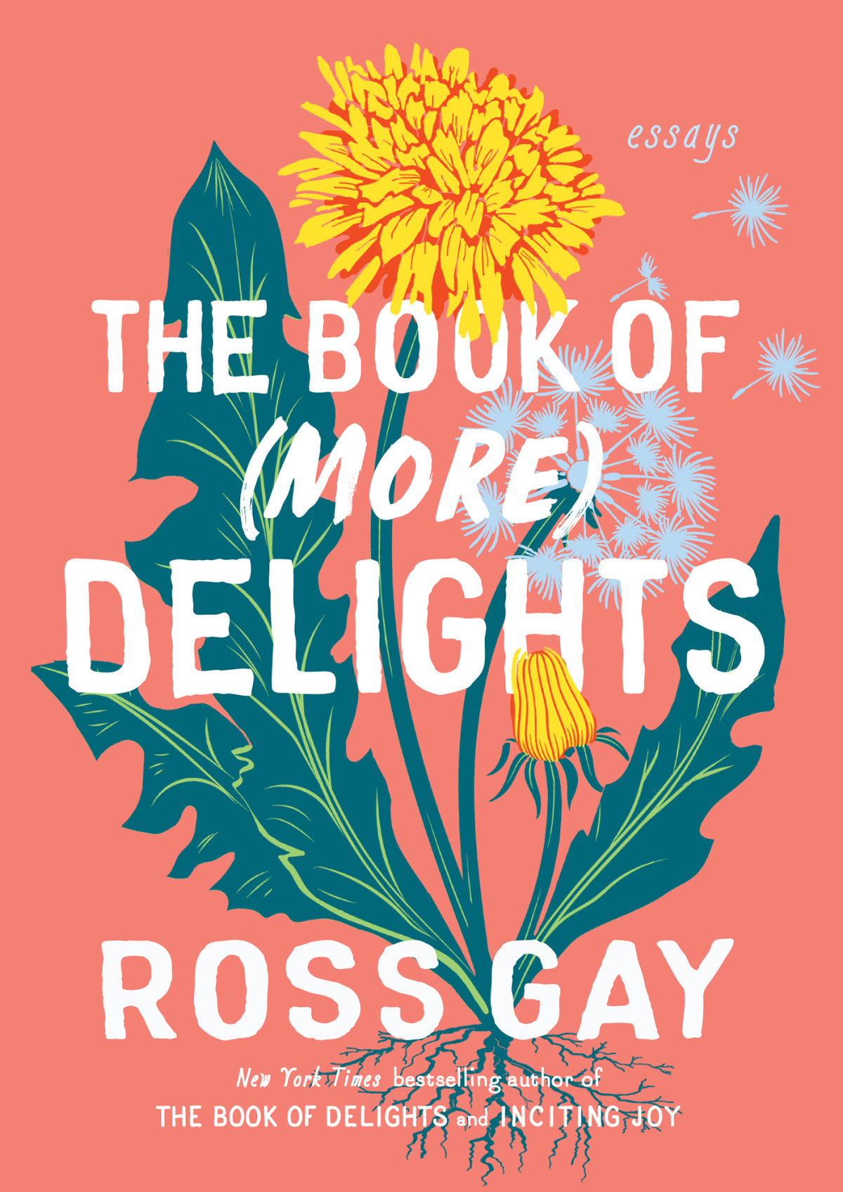 The Book Of More Delights Ross Gay