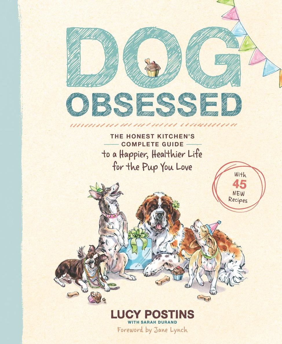 Dog Obsessed Lucy Postins