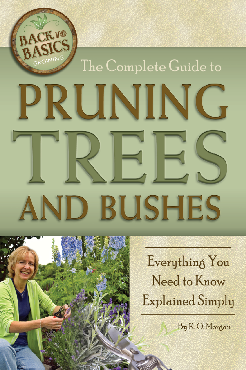 The Complete Guide To Pruning Trees And Bushes Everything You Need To Know Explained Simply K O Morgan