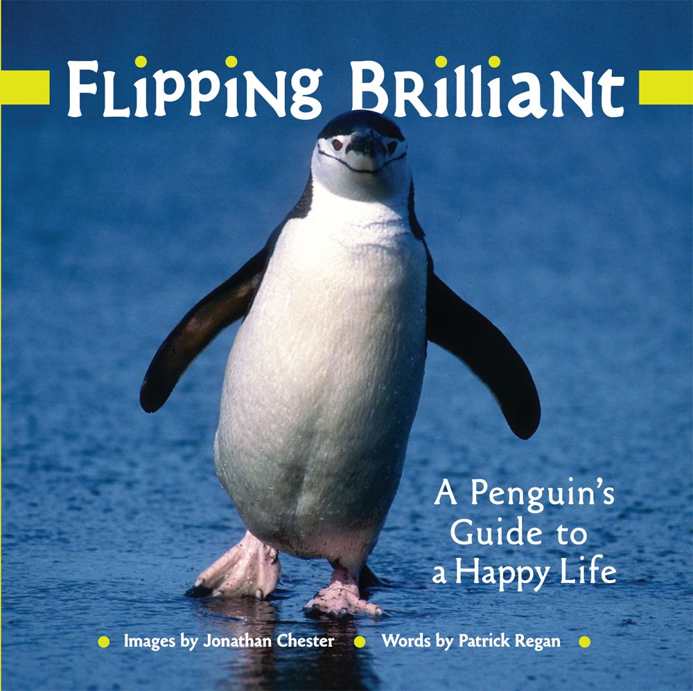 Flipping Brilliant A Penguins Guide To A Happy Life Jonathan Chester Patrick Regan