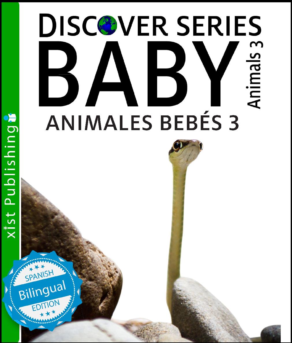 Animales Bebés 3 Baby Animals 3 Xist Publishing