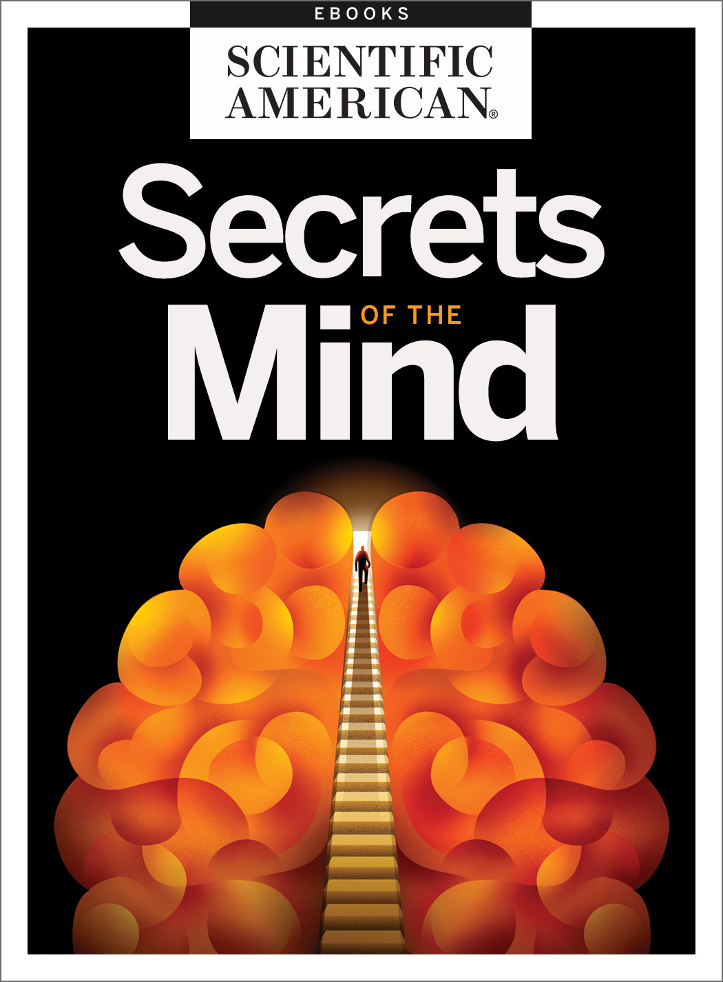 Secrets Of The Mind Scientific American Editors