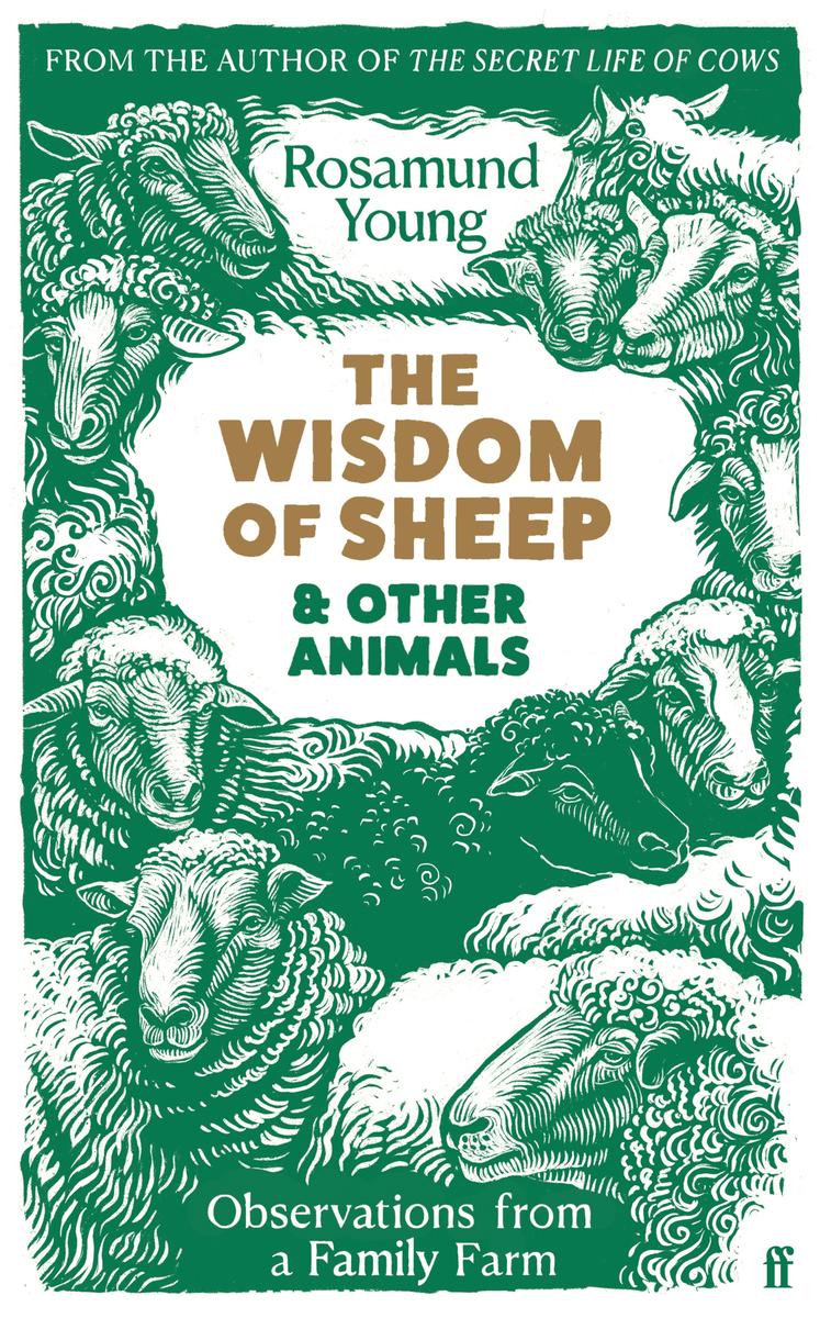 The Wisdom Of Sheep Other Animals Rosamund Young