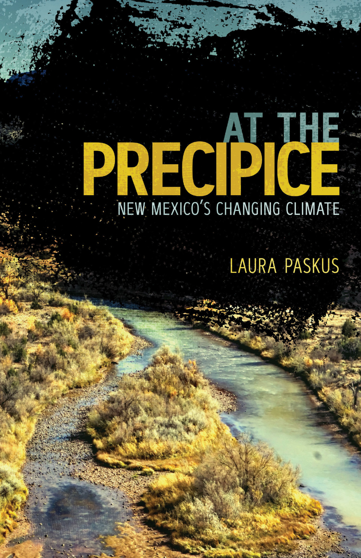 At The Precipice Laura Paskus