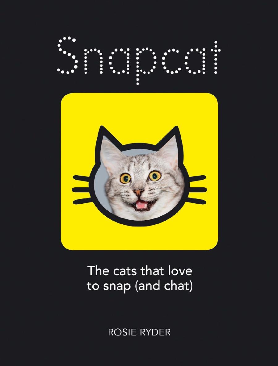 Snapcat The Cats Who Love To Snap And Chat Rosie Ryder