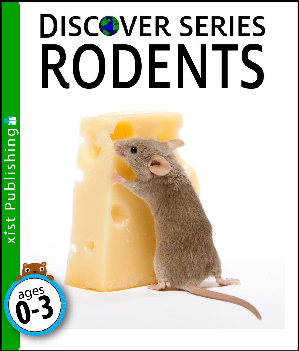 Rodents Discover Series Xist Publishing