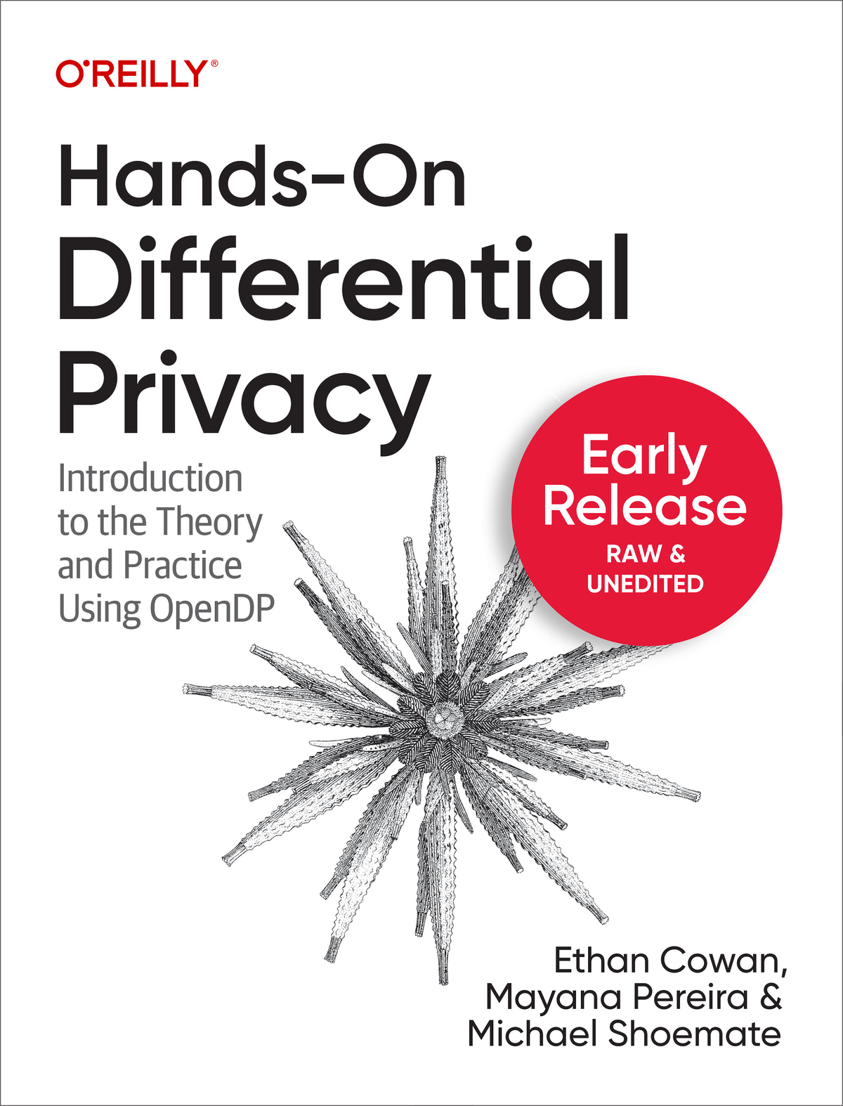 Handson Differential Privacy Ethan Cowan Mayana Pereira And Michael Shoemate