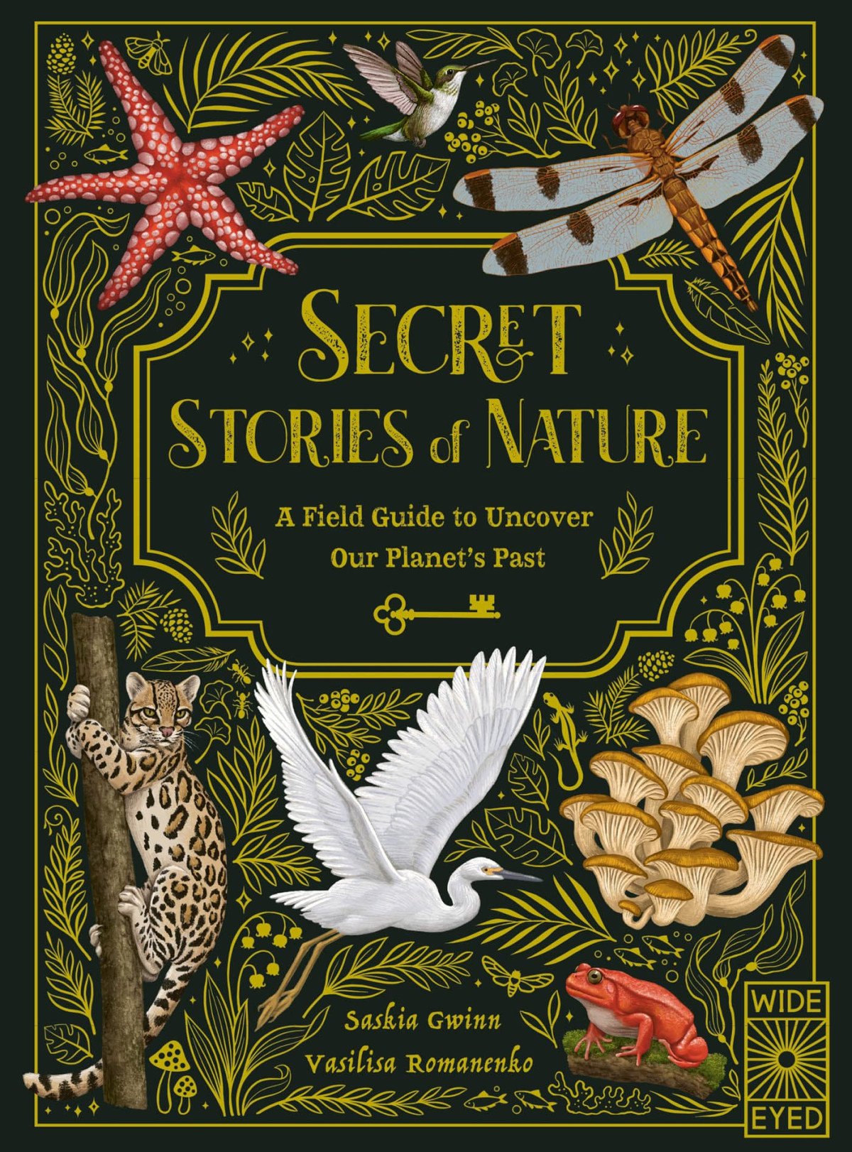 Secret Stories Of Nature Saskia Gwinn And Vasilisa Romanenko