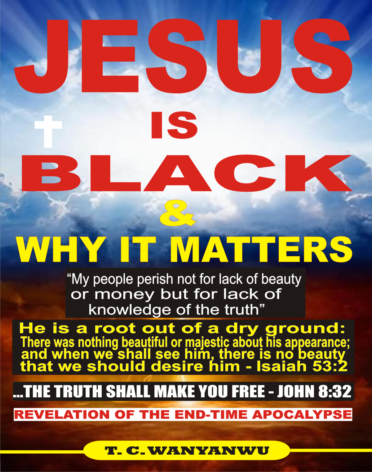 Jesus Is Black Why It Matters 1st Edition T C Wanyanwu