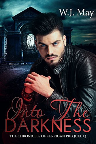 Into The Darkness W J May May W J