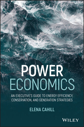 Power Economics An Executives Guide To Energy Efficiency Conservation And Generation Strategies Elena Cahill