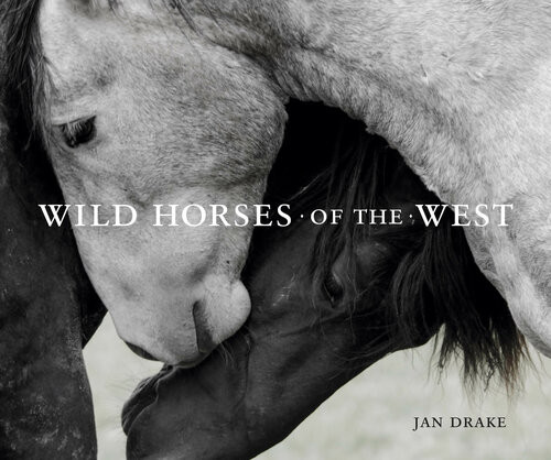 Wild Horses Of The West Jan Drake