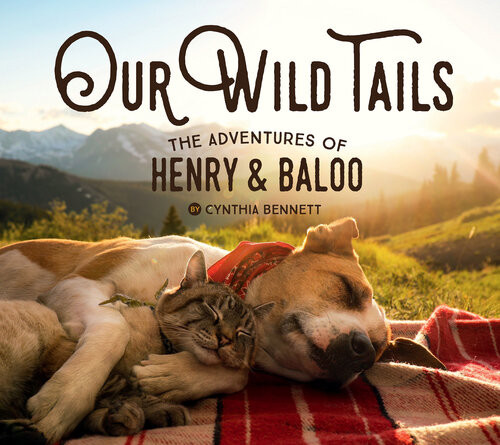The Adventures Of Henry Baloo Cynthia Bennett