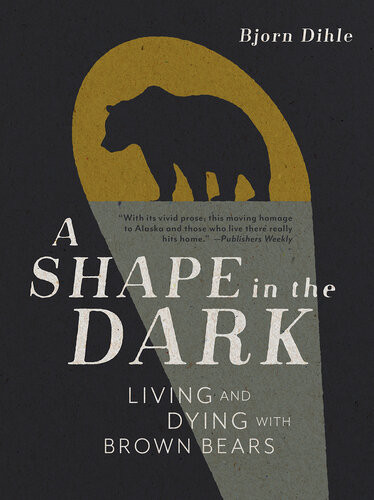 A Shape In The Dark Bjorn Dihle