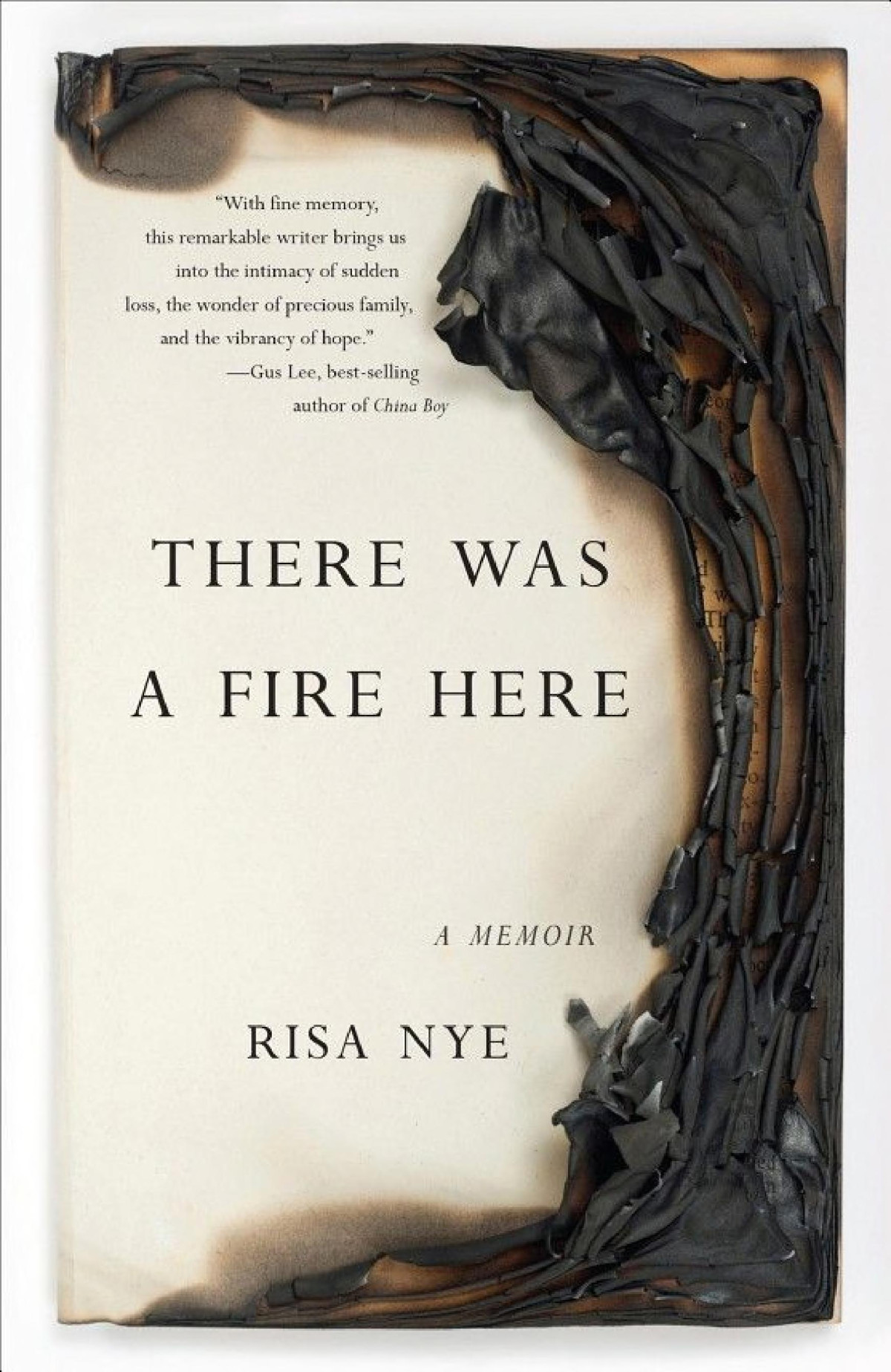 There Was A Fire Here A Memoir Risa Nye