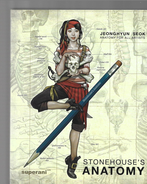 Stonehouse Anatomy Junghyun Seok