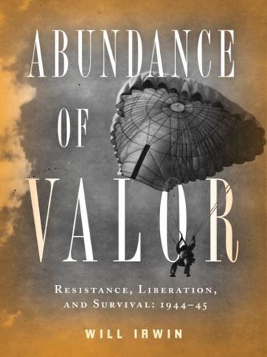 Abundance Of Valor Resistance Survival And Liberation 194445 Will Irwin Irwin