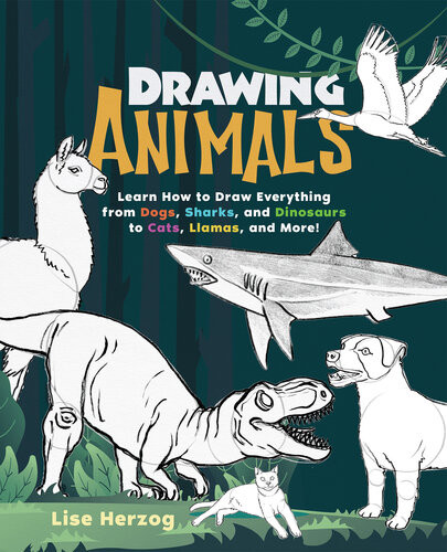 Drawing Animals Learn How To Draw Everything From Dogs Sharks And Dinosaurs To Cats Llamas And More Lise Herzog