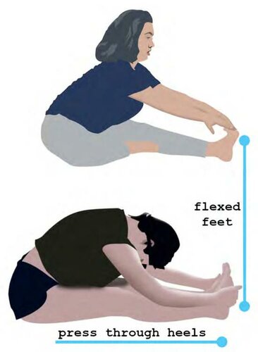 Yoga What Basic Understandable Yoga Alignment Wadsworth Nancy