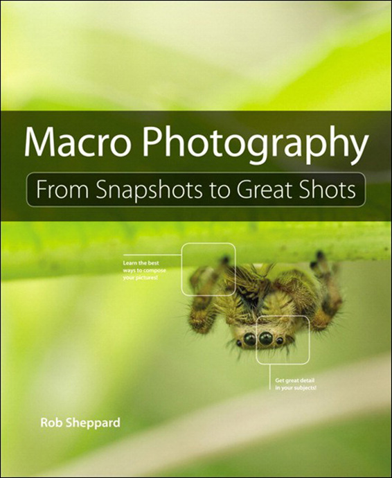 Macro Photography From Snapshots To Great Shots Rob Sheppard