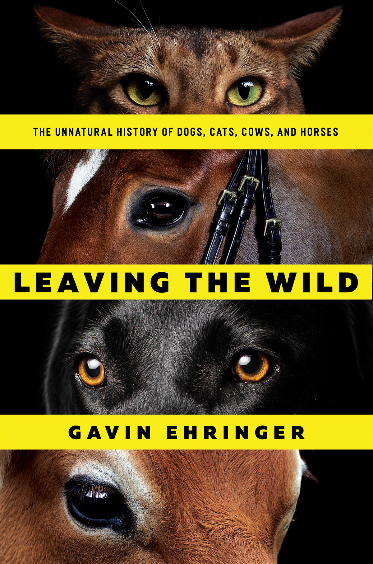 Leaving The Wild Gavin Ehringer