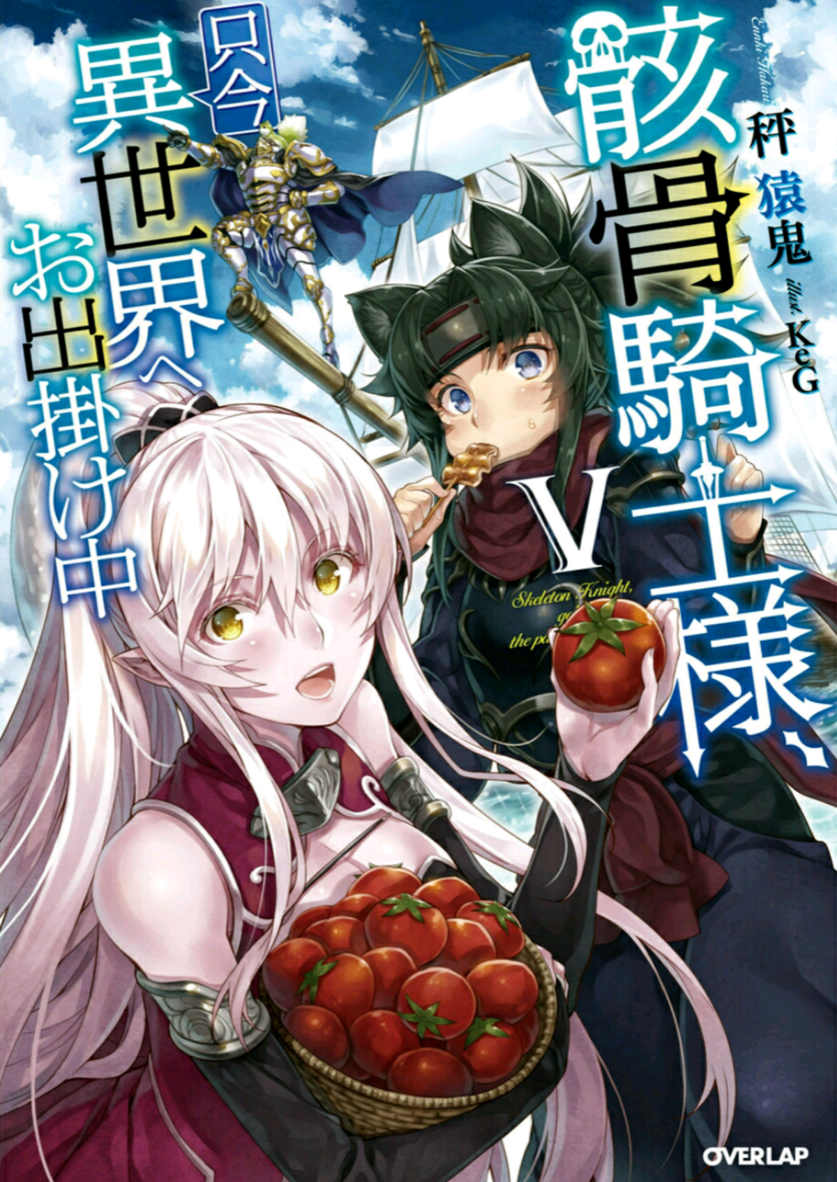 Skeleton Knight Volume 05 Silver Lining Translations Hakari Enki