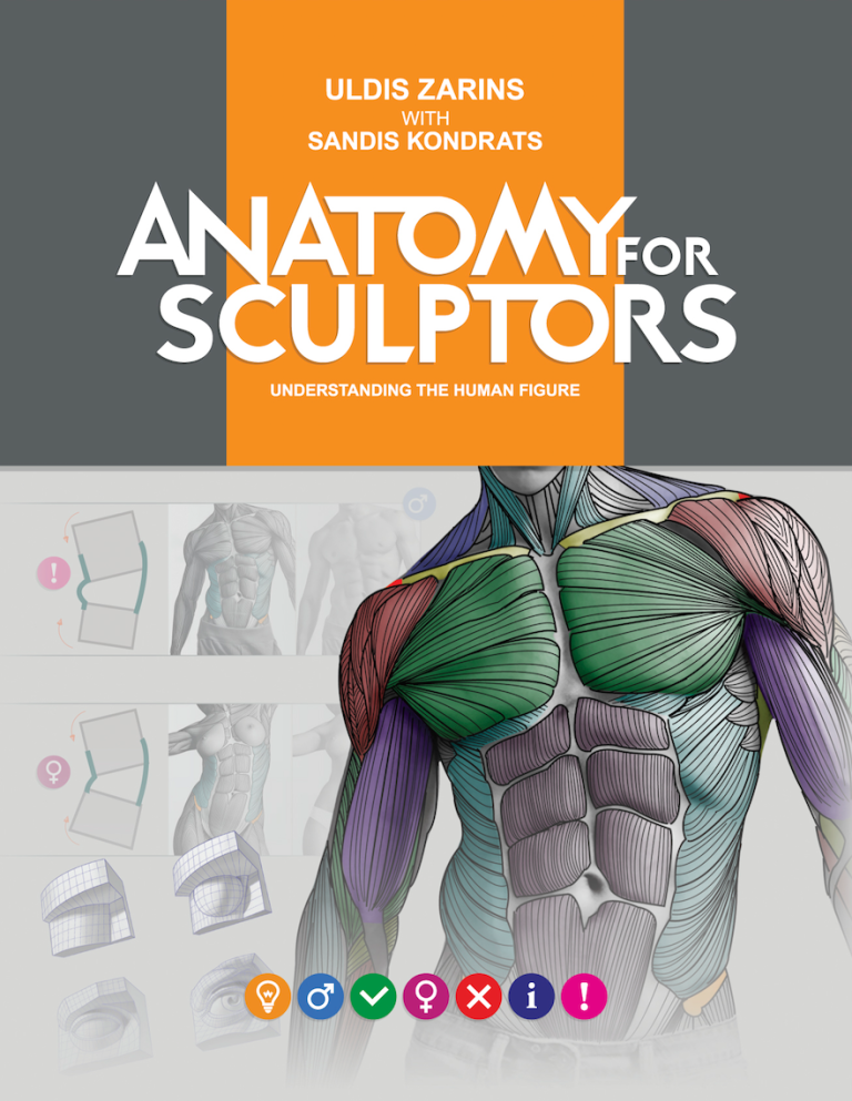 Anatomy For Sculptors Understanding The Human Figure Uldis Zarins