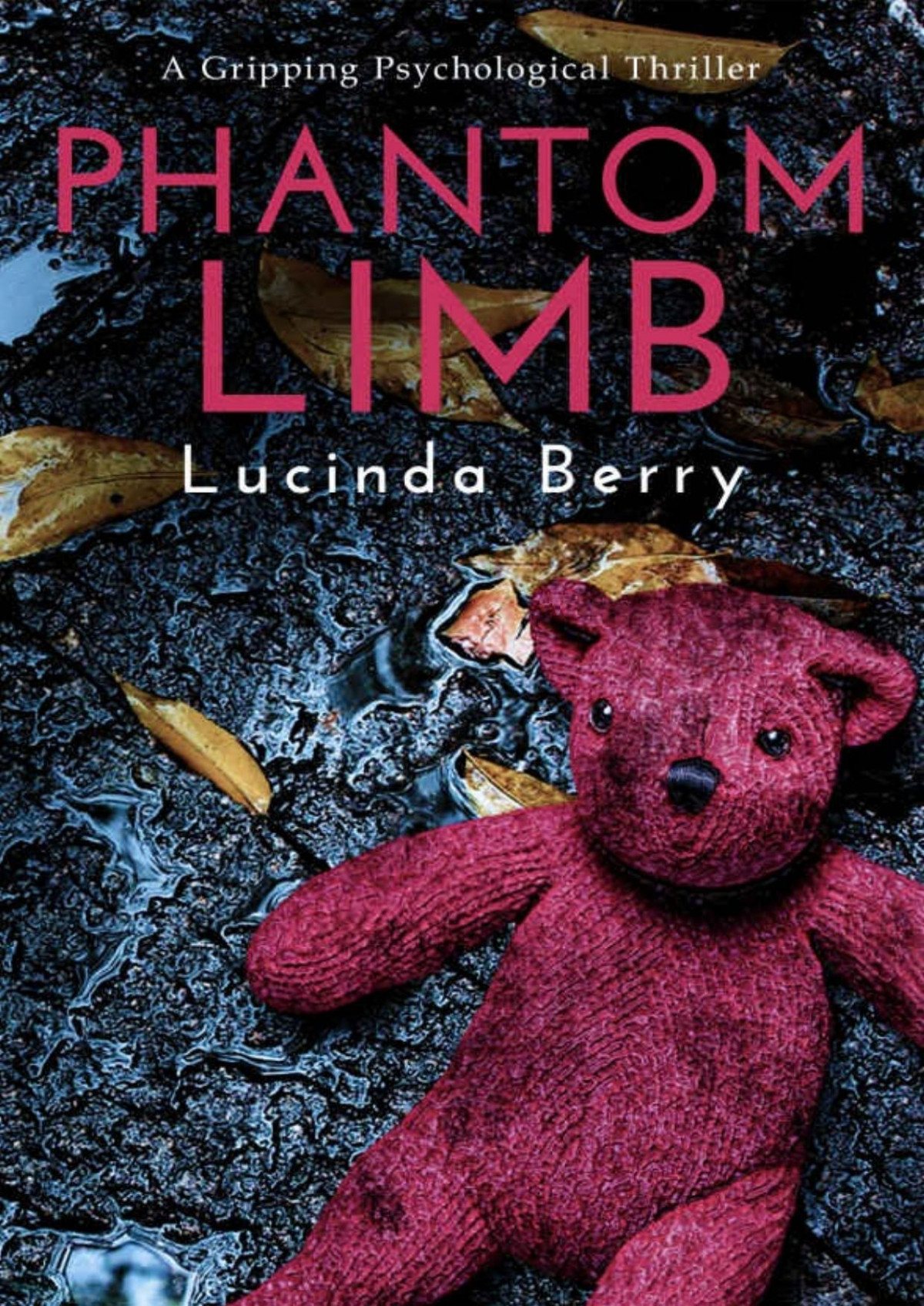 Phantom Limb A Gripping Psychological Thriller Lucinda Berry Berry