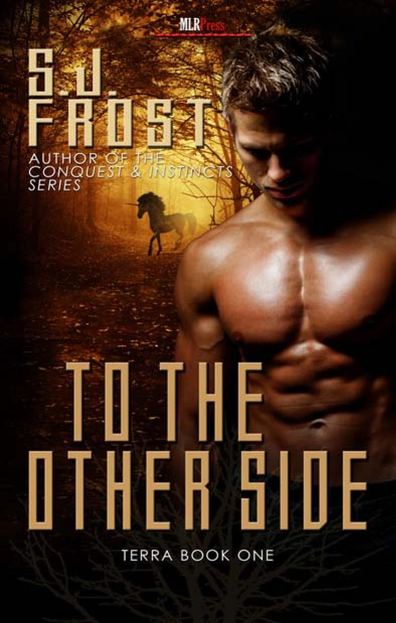 To The Other Side Sj Frost Sasha J Frost