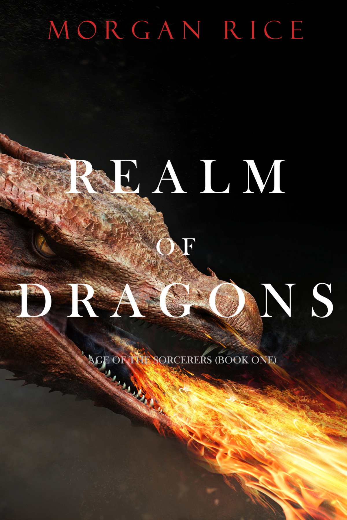 Realm Of Dragons Morgan Rice Rice Morgan