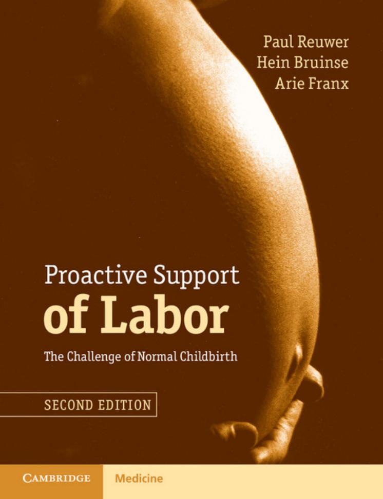 Proactive Support Of Labor The Challenge Of Normal Childbirth Paul Reuwer Hein Bruinse Arie Franx Reuwer