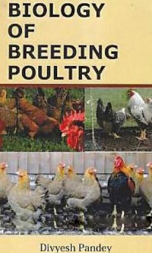 Biology Of Breeding Poultry Divyesh Pandey Pandey Divyesh