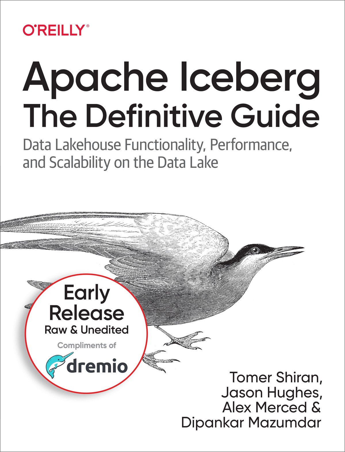 Apache Iceberg The Definitive Guide Tomer Shiran Jason Hughes