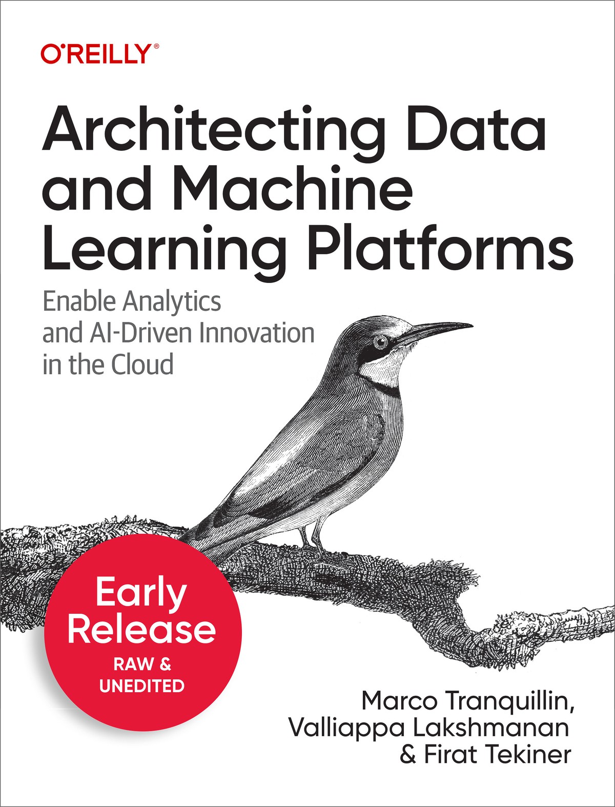 Architecting Data And Machine Learning Platforms Valliappa Lakshmanan Marco Tranquillin Firat Tekiner