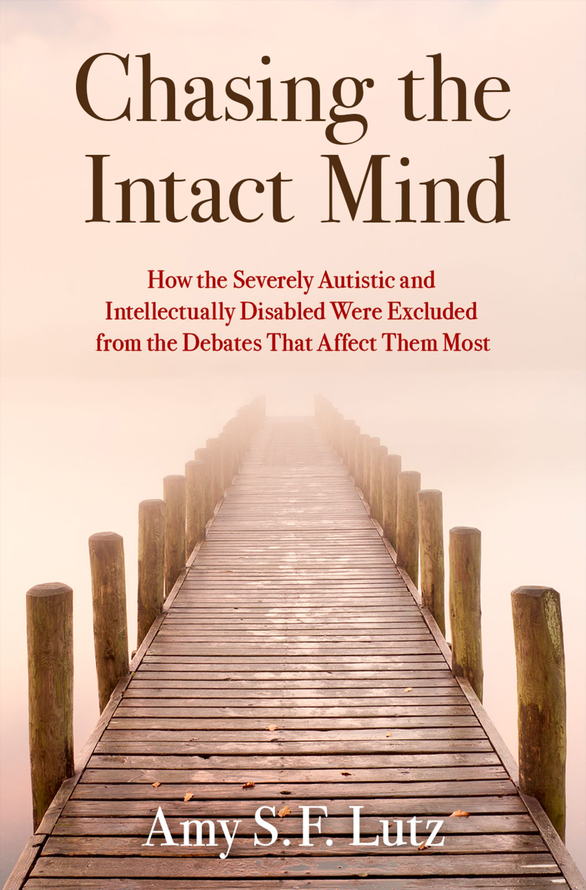 Chasing The Intact Mind Amy S F Lutz