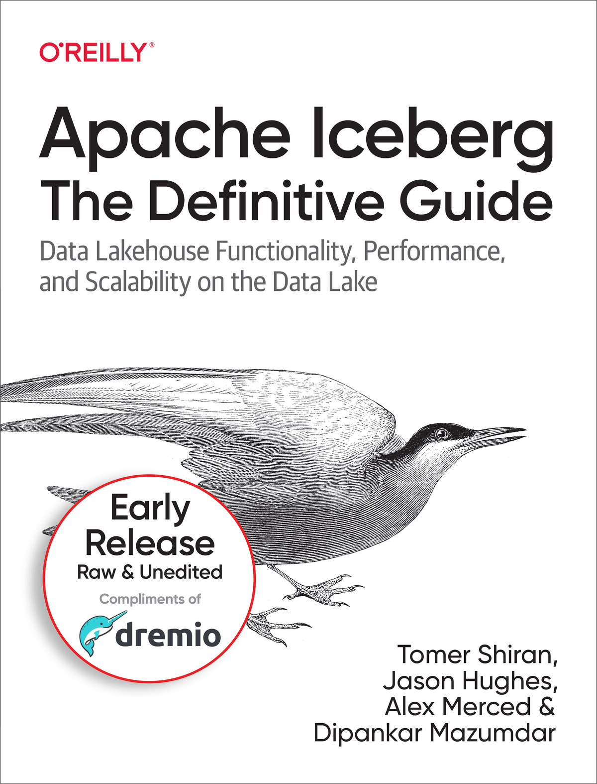 Apache Iceberg The Definitive Guide Tomer Shiran Jason Hughes