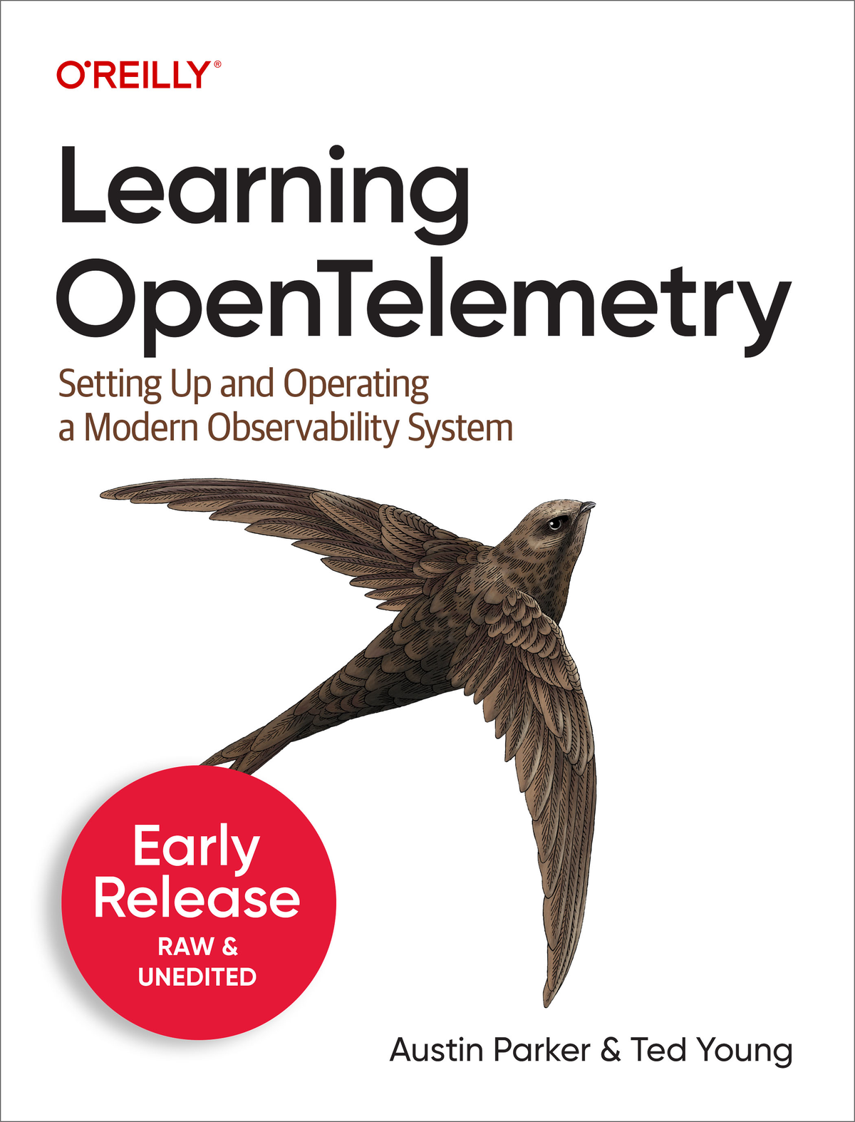 Learning Opentelemetry Austin Parker And Ted Young