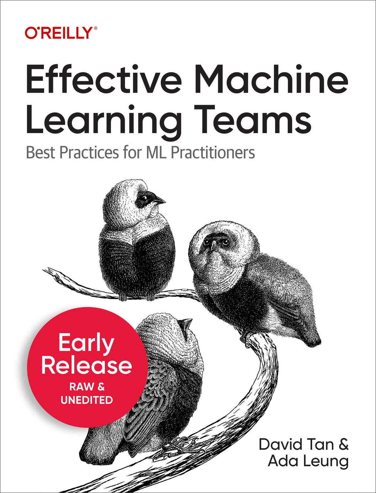 Effective Machine Learning Teams David Tan Ada Leung