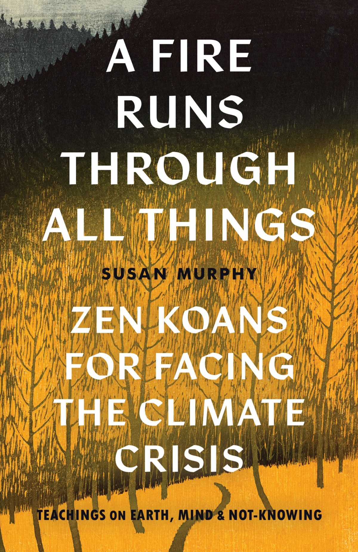 A Fire Runs Through All Things Zen Koans For Facing The Climate Crisis Susan Murphy