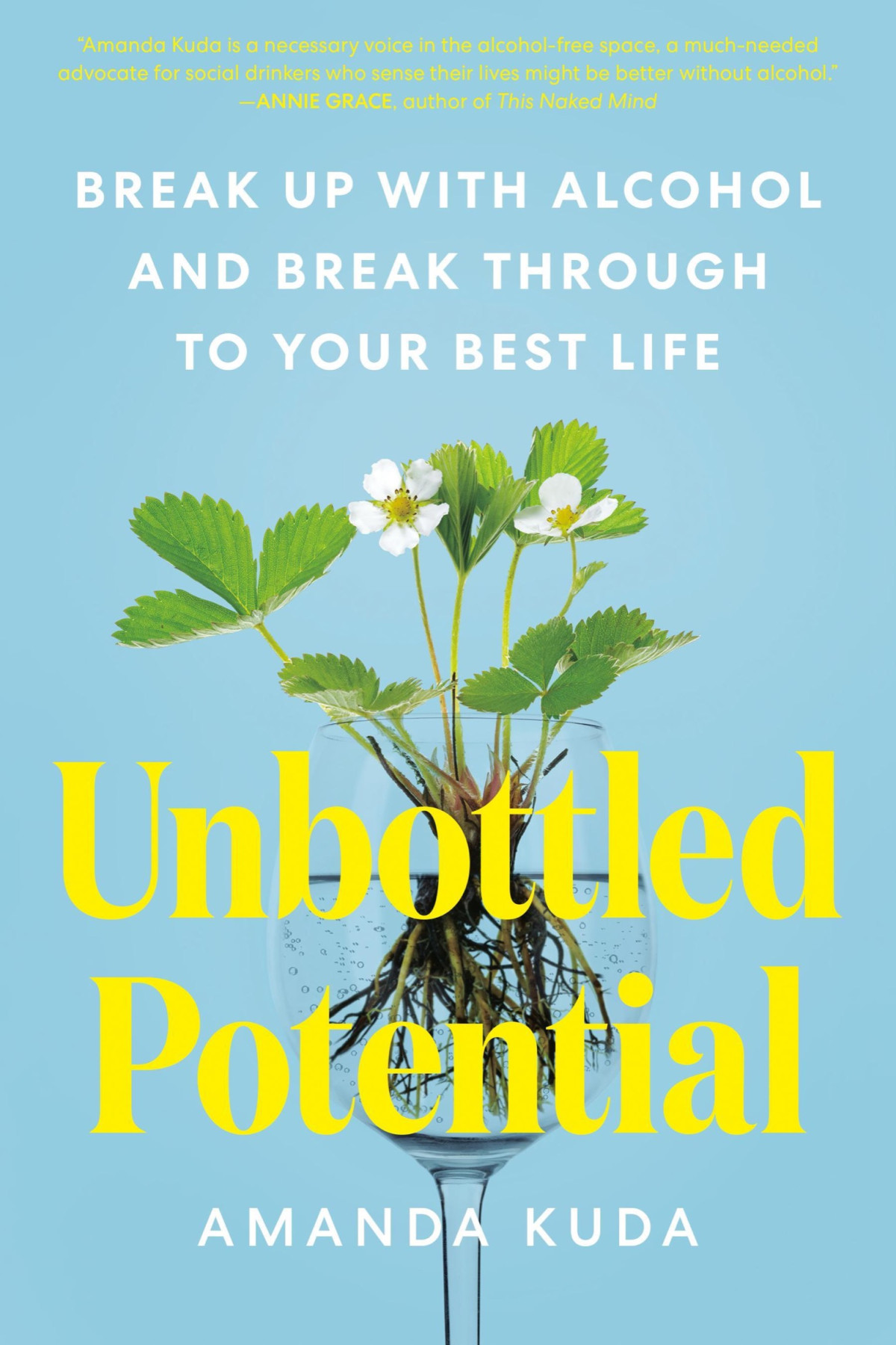Unbottled Potential Break Up With Alcohol And Break Through To Your Best Life Amanda Kuda