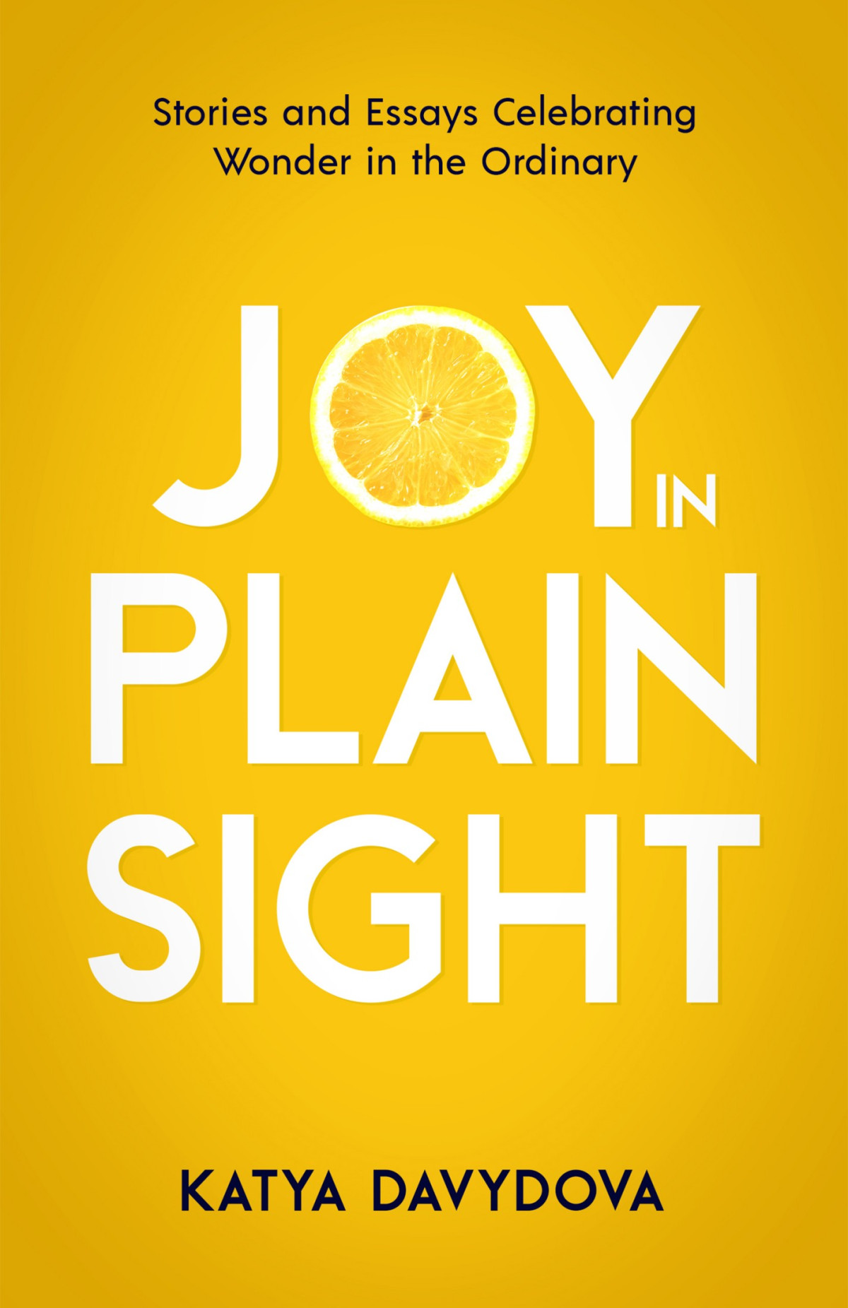 Joy In Plain Sight Katya Davydova