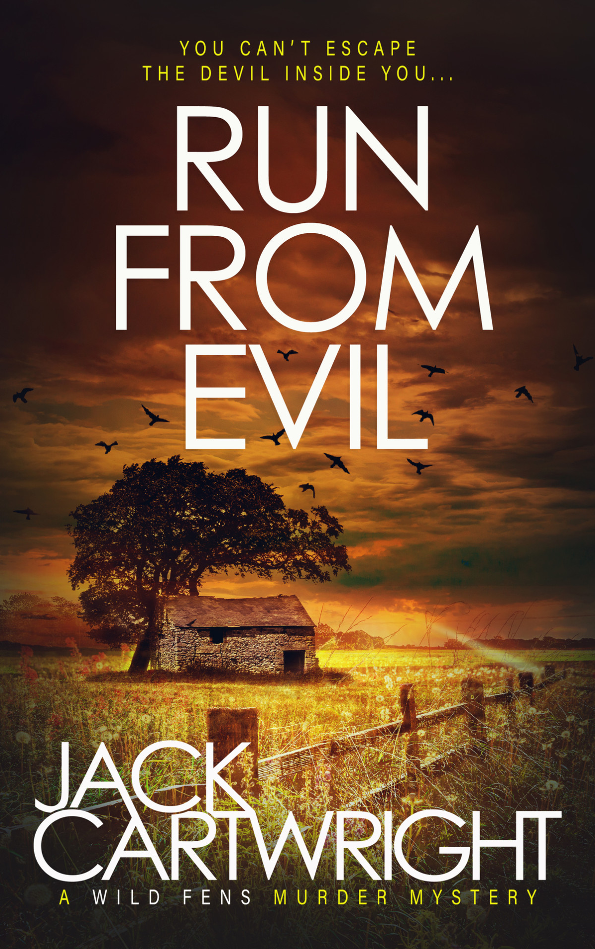 Run From Evil A British Murder Mystery The Wild Fens Murder Mystery Book 15 Jack Cartwright