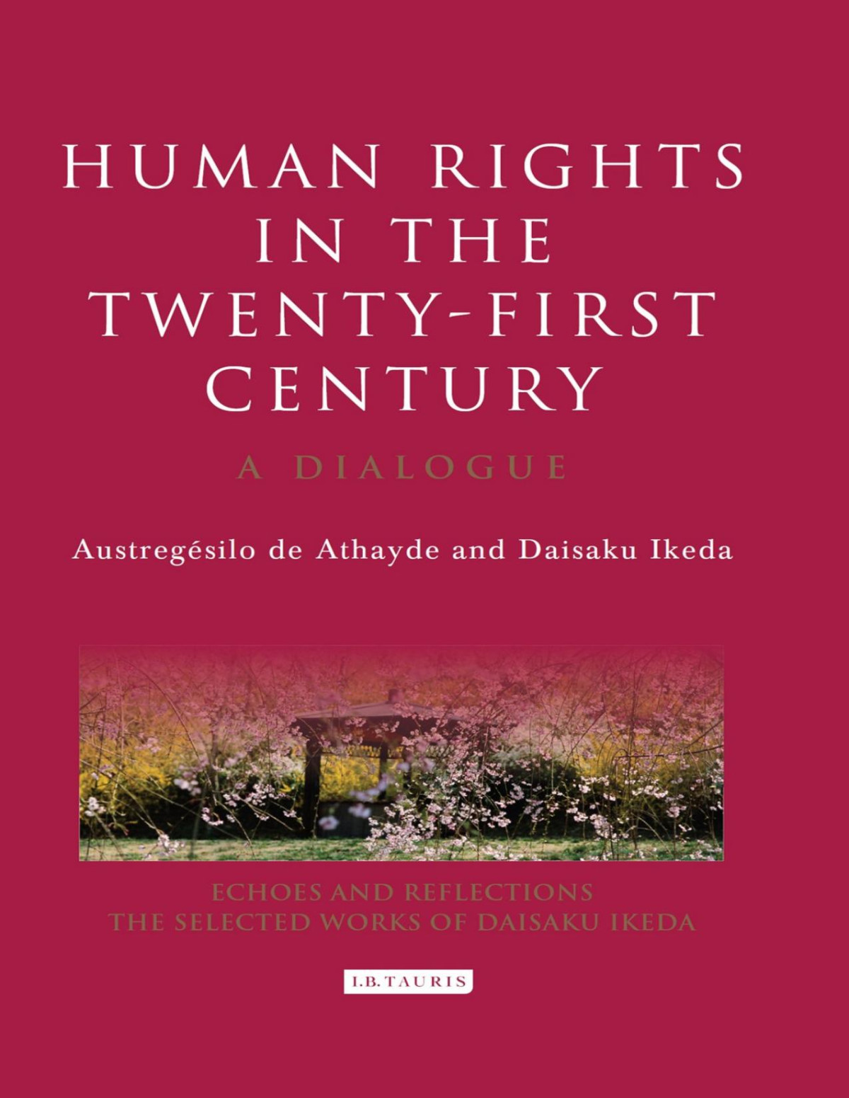 Human Rights In The Twentyfirst Century A Dialogue Austregesilo De Athayde Daisaku Ikeda