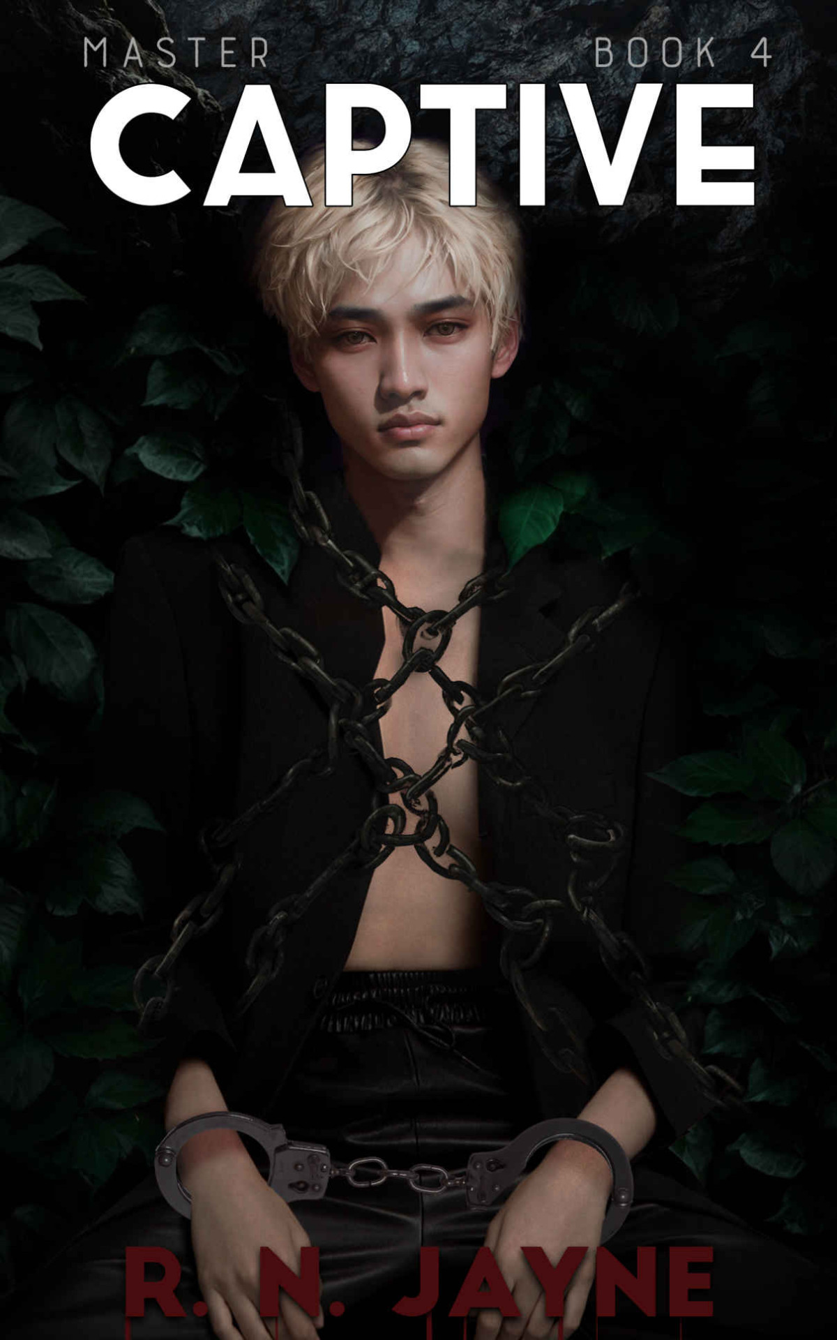 Captive Master Book 6 R N Jayne