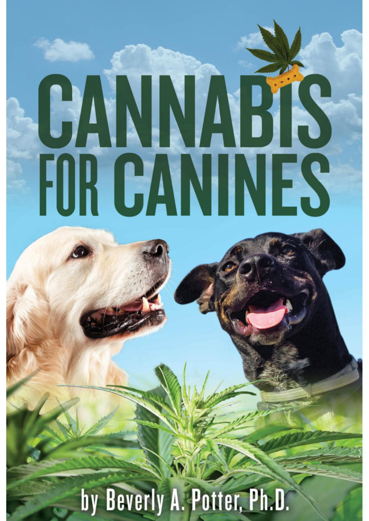 Cannabis For Canines Beverly A Potter Phd
