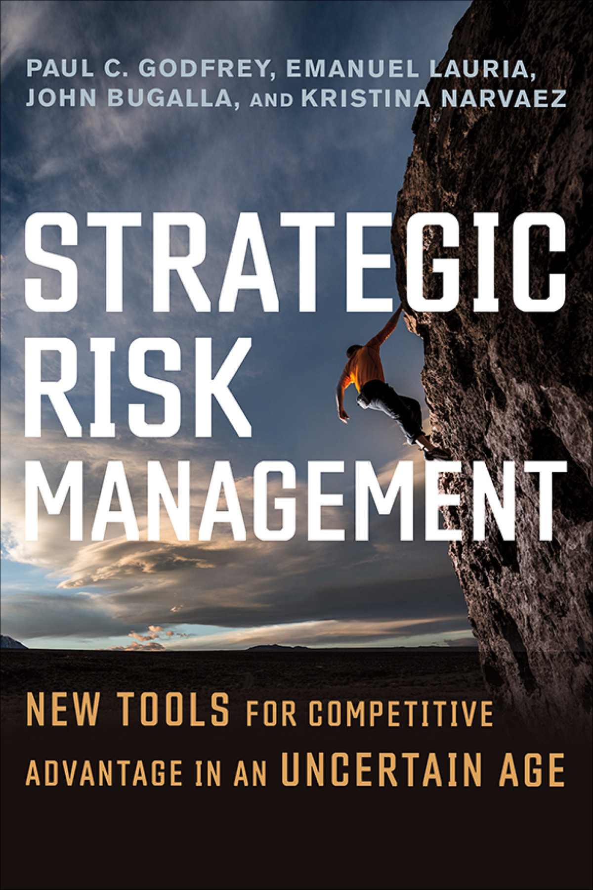 Strategic Risk Management Paul C Godfrey